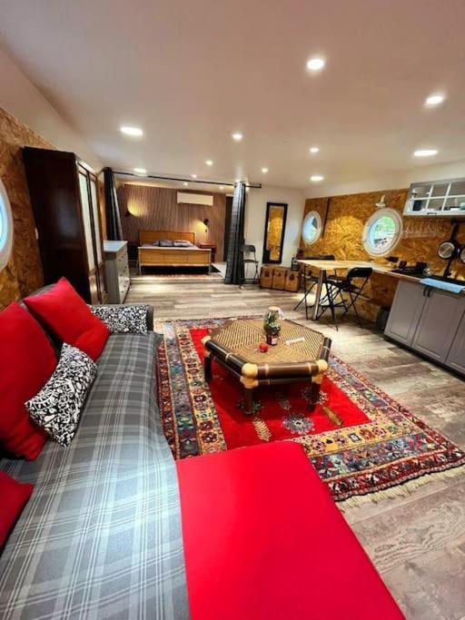 Magnifique Peniche Cosy Et Spacieuse A Toulouse Bagian luar foto